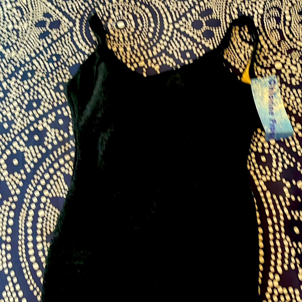 NWT Penbrooke swimsuit